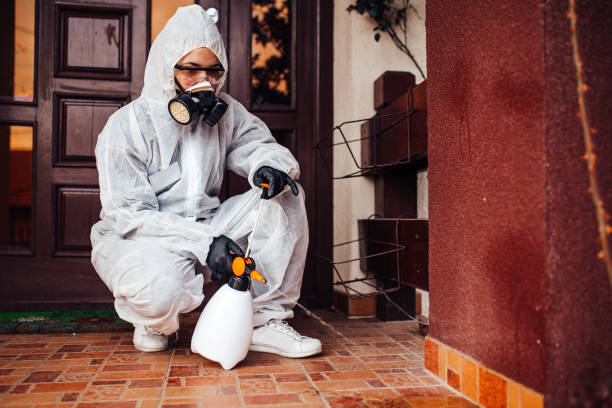 Reliable Wasp Removal contractor in Mart, TX by Show Me Pest Control